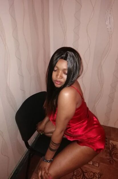 стелла - фото